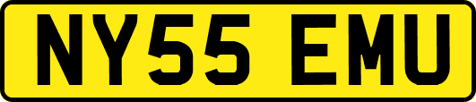 NY55EMU