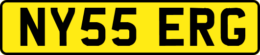 NY55ERG