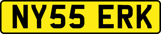 NY55ERK