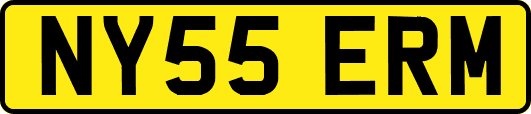 NY55ERM