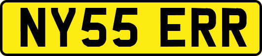 NY55ERR