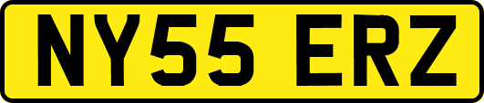 NY55ERZ