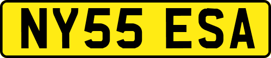NY55ESA