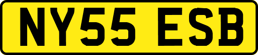 NY55ESB
