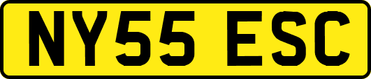 NY55ESC