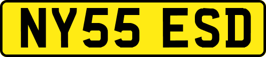 NY55ESD