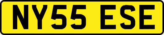 NY55ESE