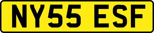 NY55ESF