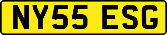 NY55ESG