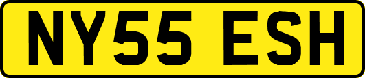 NY55ESH