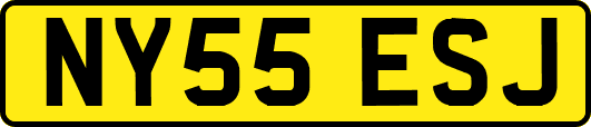 NY55ESJ