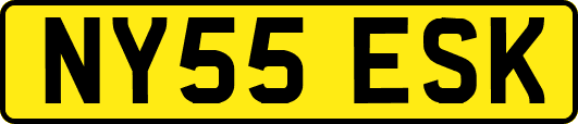 NY55ESK