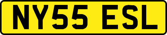 NY55ESL