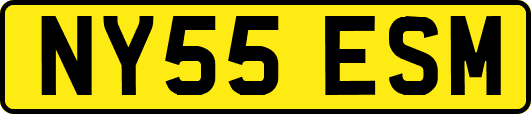 NY55ESM