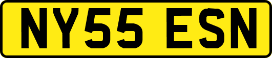 NY55ESN