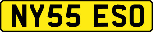 NY55ESO