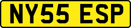 NY55ESP