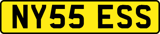 NY55ESS