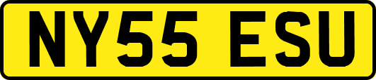 NY55ESU