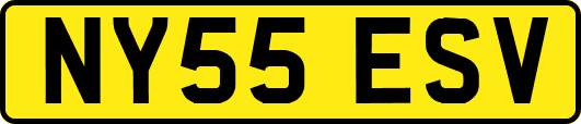 NY55ESV