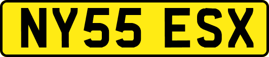 NY55ESX