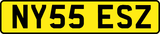 NY55ESZ