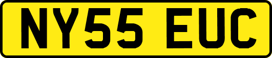NY55EUC