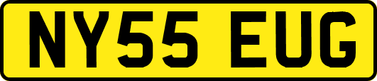 NY55EUG