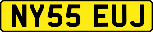 NY55EUJ