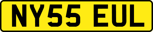 NY55EUL