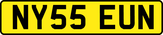 NY55EUN