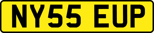 NY55EUP