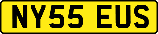NY55EUS