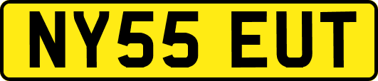 NY55EUT