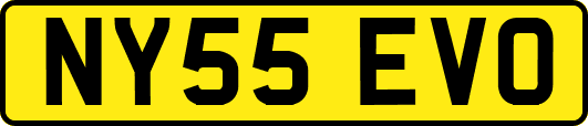 NY55EVO