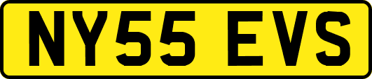 NY55EVS