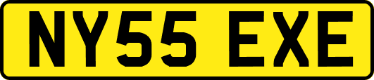 NY55EXE
