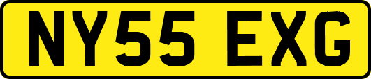 NY55EXG