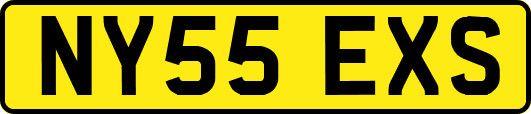 NY55EXS