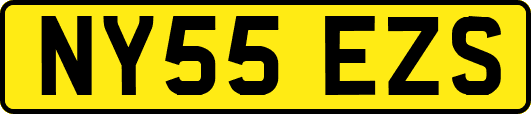 NY55EZS