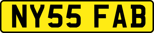 NY55FAB