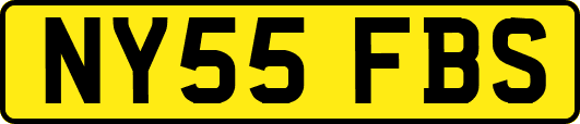 NY55FBS