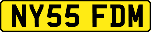 NY55FDM