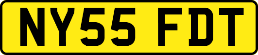 NY55FDT