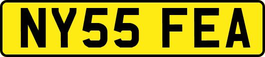 NY55FEA