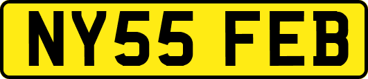 NY55FEB