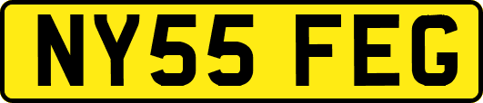 NY55FEG