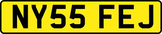NY55FEJ