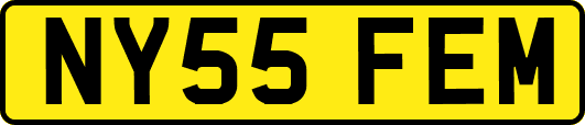 NY55FEM