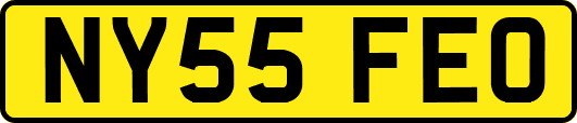 NY55FEO